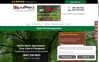 Chicos Tree Land website