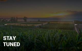 Emerald Electrical LLC