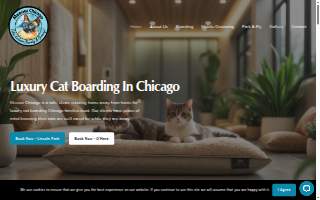 Meeow Chicago - O’Hare