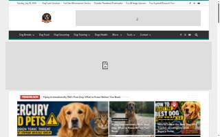 Dog Training Now of Lindenhurst
