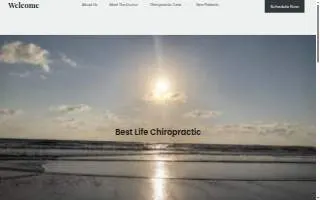 Best Life Chiropractic of Lisle website