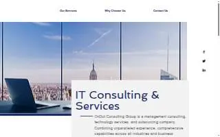 OnDot Consulting, Inc website
