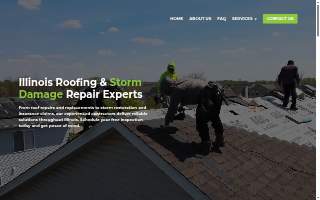 Wise Guys Roofing