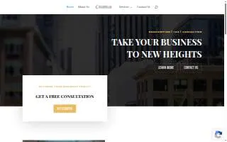 Chiarelli Consulting & Accounting website
