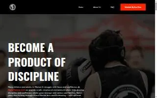 Fight Fitness 618 website