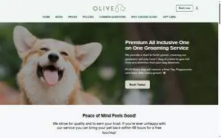 Olive spring healthcare solutions LLC website