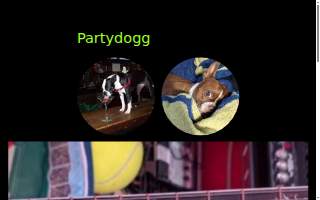 Party Dog Doggie Daycare and Boarding