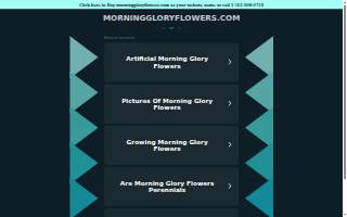 Morning Glory Flower Shop - Wilmette & Glenview Flower Delivery
