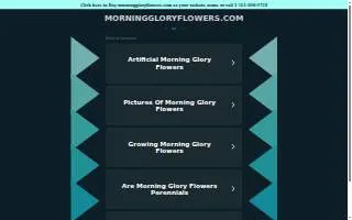 Morning Glory Flower Shop - Wilmette & Glenview Flower Delivery website