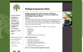 Dupage Acupuncture Clinic website