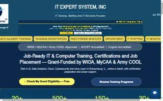 IT Expert System, INC website