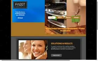 pabst consulting llc website