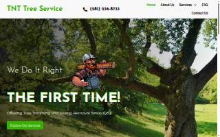 TNT Tree Service & Stump Grinding