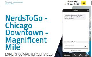 NerdsToGo - Chicago Downtown - Magnificent Mile of North Chicago