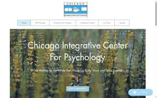 The Chicago Integrative Center For Psychology of North Chicago website