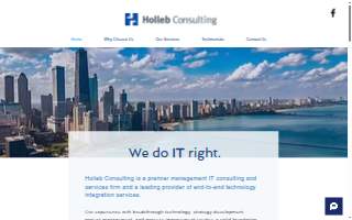 Holleb Consulting Inc