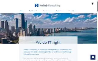 Holleb Consulting Inc website