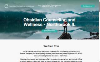 Obsidian Counseling and Wellness