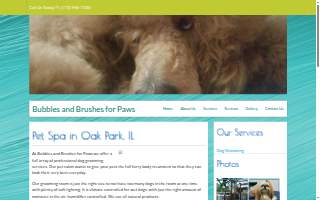 Bubbles and Brushes for Paws