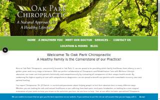 Oak Park Chiropractic