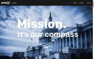 LEVELUP, LLC Website Design SEO Company