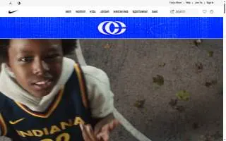 Nike Factory Store - Oak Brook website
