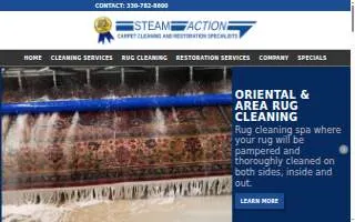 Steam Action Carpet Cleaning website