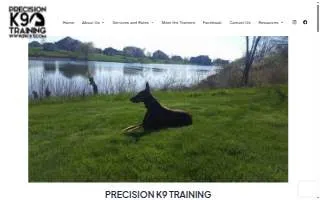 Precision K9 Training, Inc. of Ottawa website