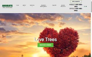 Absolute Tree Solutions of Palatine