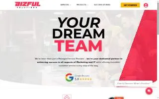 Bizful Solutions website