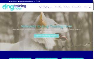 Dog Training Now of Palatine