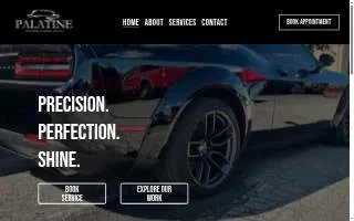 Palatine Auto Detail website