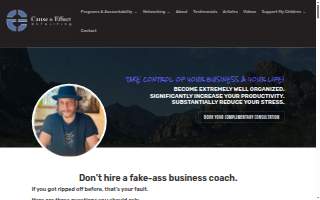 Cause and Effect Consulting