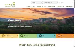 Park Ridge Vision