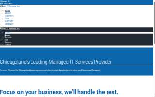 Apex IT Services
