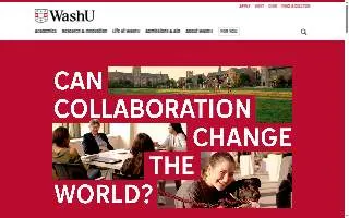 WashU Car Wash of Joliet website