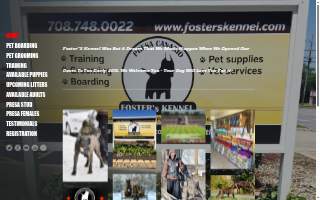 Foster's Kennel/ Park Forest Animal