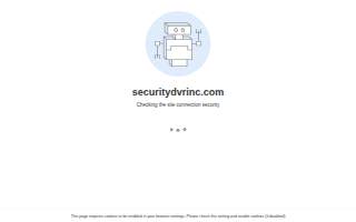 Security DVR Inc.
