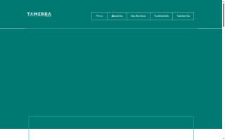Tamerra Tax Services