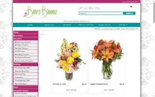 Behrz Bloomz of Rock Falls website