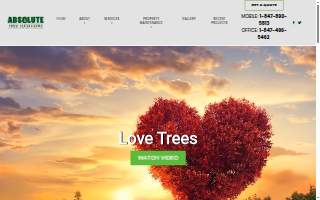 Absolute Tree Solutions of Rolling Meadows