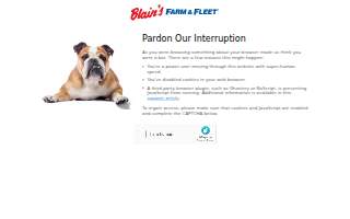 Blain's Farm & Fleet - Romeoville, Illinois