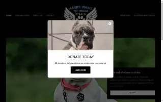 Angel Paws Pet Sitting and grooming of Savoy website