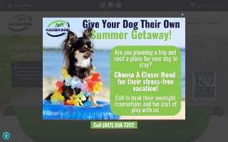 A Closer Bond Dog Training & Learning Center - Wood Street