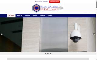 Blue Caliber Surveillance of Schaumburg