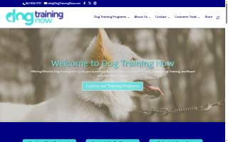 Dog Training Now of Schaumburg