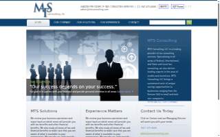 MTS Consulting LLC