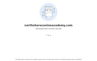 NorthShore Canine Academy - Sophie Amphlett