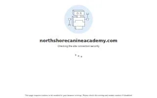 NorthShore Canine Academy - Sophie Amphlett of Skokie website