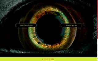 Monster Pawn Springfield Inc of South Holland